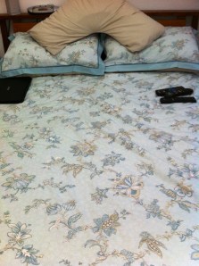 01a005abb999f0bf3bffc98dd886c0e03c8bb29d8e