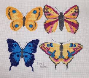 10404002_10152159384333148_2483909856577746882_o