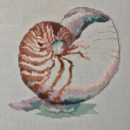 15128862_10154040705318148_7266822407569716080_o