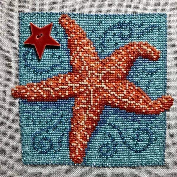Starfish by Mill Hill